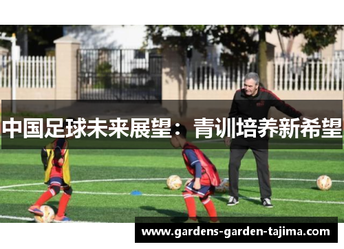 中国足球未来展望：青训培养新希望
